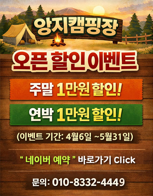 다음